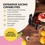 Fridja Fruit Juicer with masticating technology for nutritious juice and sorbets from whole fruits and vegetables