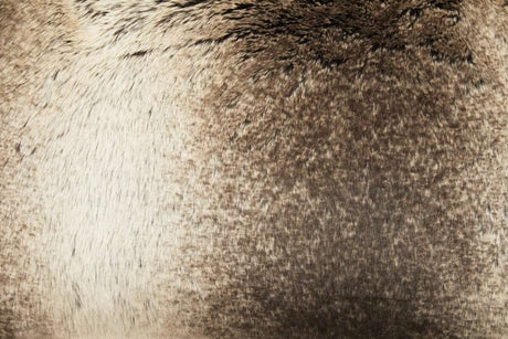 Close-up of Orsina Fur Cushion showcasing soft textures and natural tones for home decor