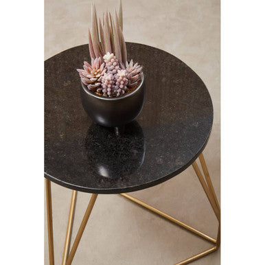 Stylish Orsina Side Table with a round black marble top and gold metal legs, featuring a potted plant