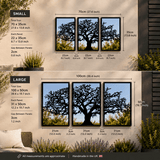 SunCatcher-UK Garden Mirror in small and large sizes with tree silhouette design on a wall