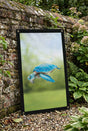 SunCatcher-UK Garden Mirror featuring a vibrant flying turtle design in a lush garden setting