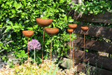 Stylish garden Rain Catcher with multiple bowls on stands for elegant water collection