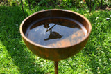 Rustic metal Rain Catcher with water reflection, ideal for garden birds and wildlife