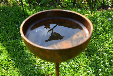 Rustic metal Rain Catcher with water reflection, ideal for garden birds and wildlife