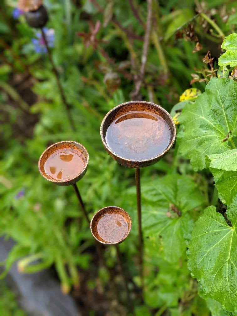 Savageworksuk Rain Catcher in garden setting with three bowls collecting rainwater