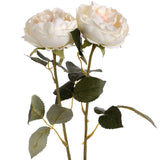 Shades 4 Seasons Garden Rose Single Stem Flower Shades 4 Seasons