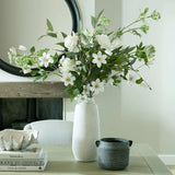 Shades 4 Seasons White Garden Rose Single Stem Flower Shades 4 Seasons