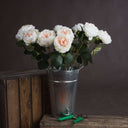 Shades 4 Seasons Garden Rose Single Stem Flower PINK PLASTIC Shades 4 Seasons