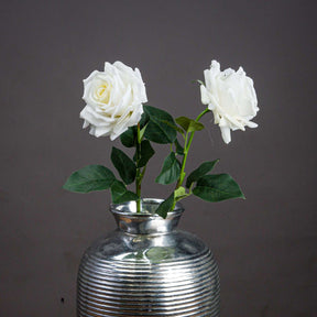 Shades 4 Seasons White Garden Rose Single Stem Flower Default Title Shades 4 Seasons