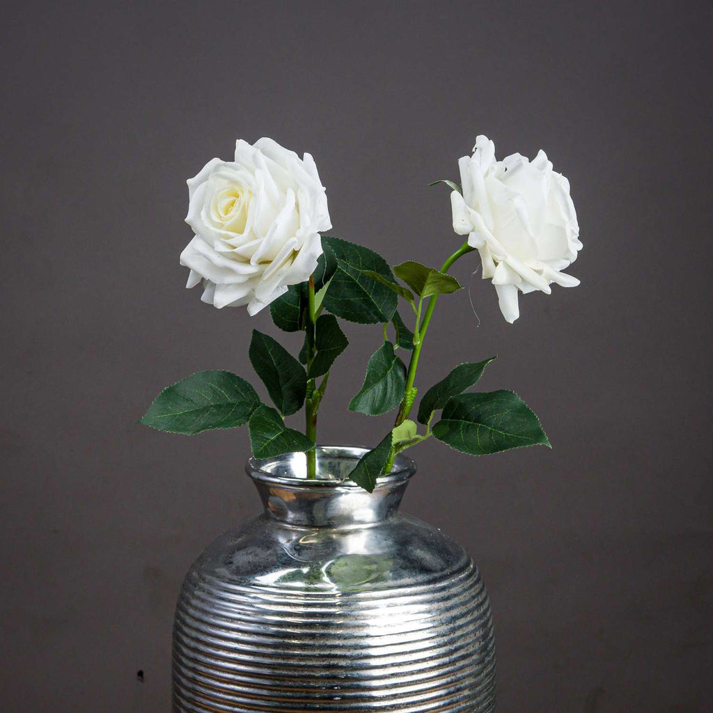 Shades 4 Seasons White Garden Rose Single Stem Flower Default Title Shades 4 Seasons
