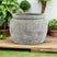 Shades 4 Seasons Rimmed Plant Pot - Stone Textured Indoor WHITE CERAMIC Shades 4 Seasons