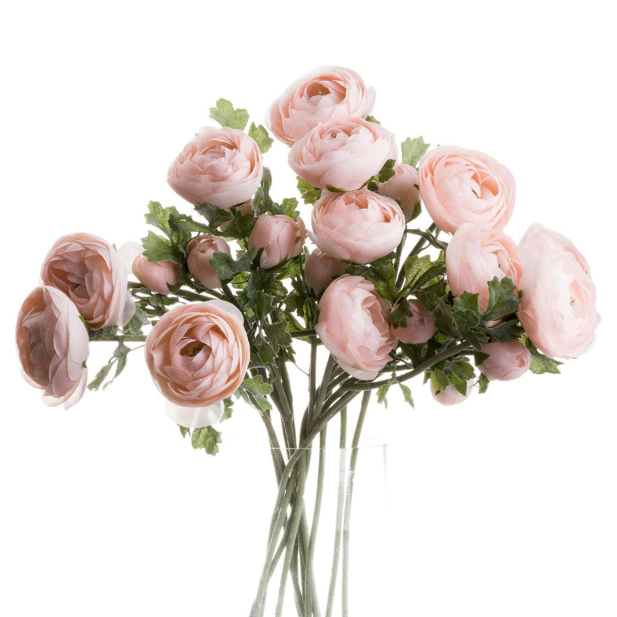 Shades 4 Seasons Pink Ranunculus Spring Single Stem PINK Shades 4 Seasons