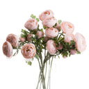 Shades 4 Seasons Pink Ranunculus Spring Single Stem PINK Shades 4 Seasons
