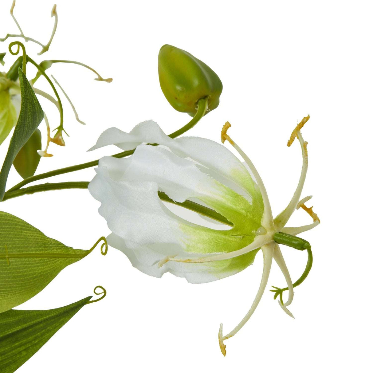 Shades 4 Seasons Gloriosa Spray - Elegant Single Stem Flower Shades 4 Seasons
