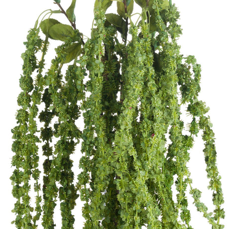 Shades 4 Seasons Green Amaranthus Single Stem Flower Shades 4 Seasons
