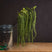 Shades 4 Seasons Green Amaranthus Single Stem Flower GREEN PLASTIC Shades 4 Seasons