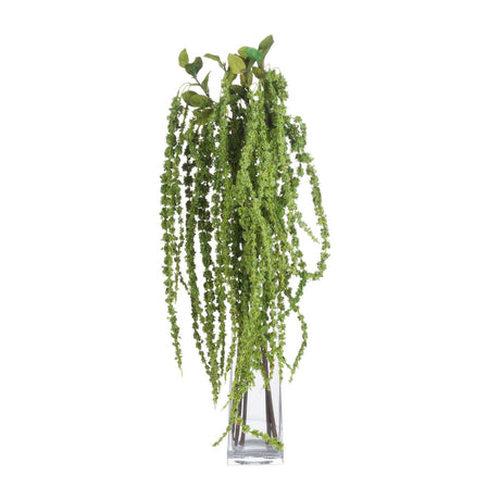 Shades 4 Seasons Green Amaranthus Single Stem Flower Shades 4 Seasons