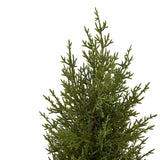 Shades 4 Seasons Small Green Fir Tree Decoration Shades 4 Seasons