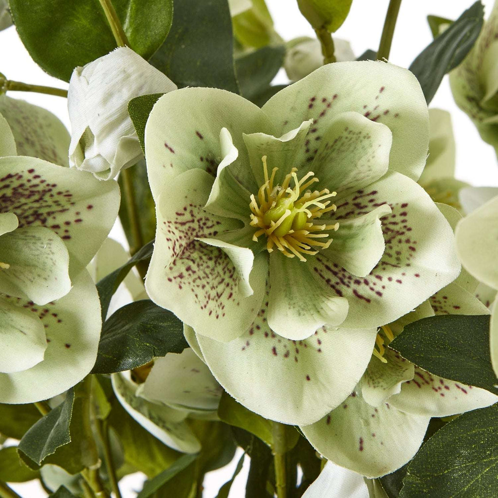 Shades 4 Seasons Green Hellebore Artificial Flower Arrangement Shades 4 Seasons