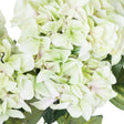 Shades 4 Seasons Green Hydrangea Single Stem Flower Shades 4 Seasons