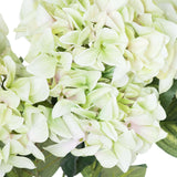 Shades 4 Seasons Green Hydrangea Single Stem Flower Shades 4 Seasons
