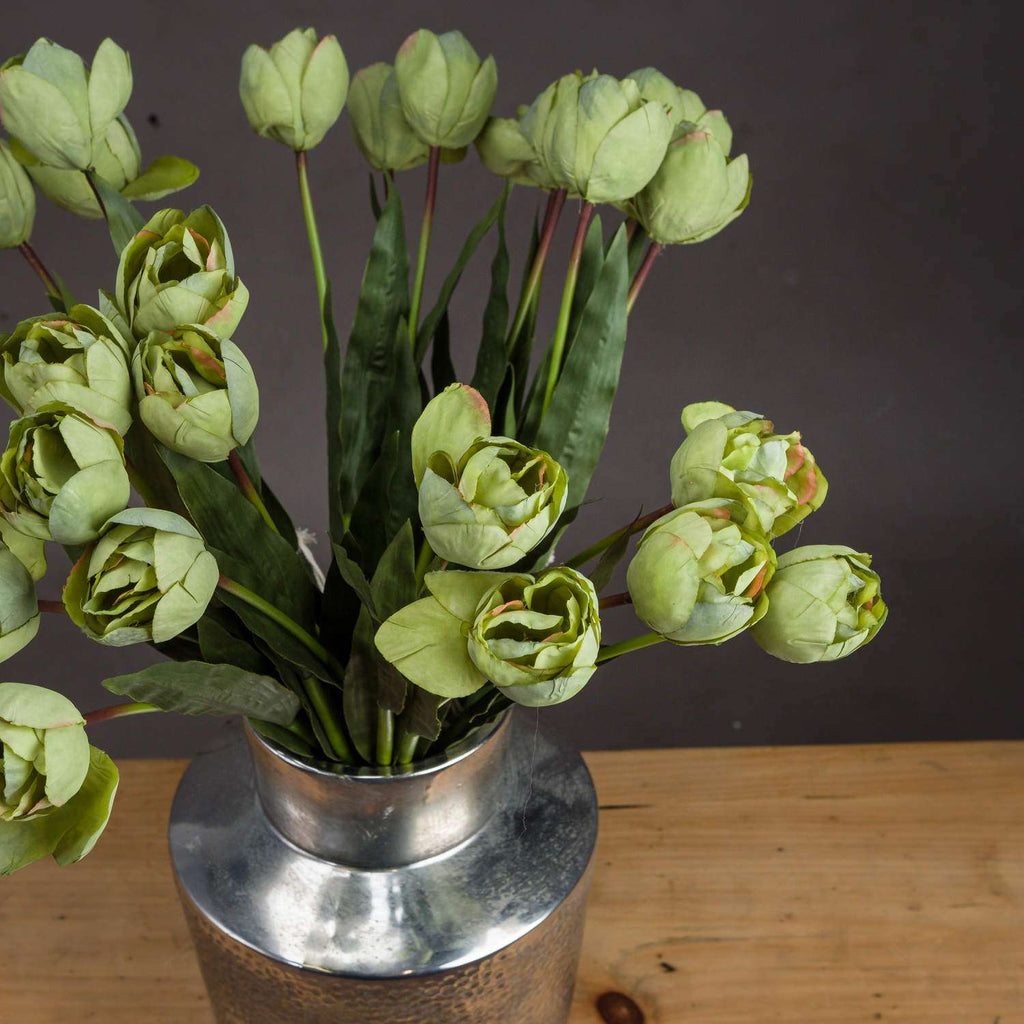 Shades 4 Seasons Green Tulip Single Stem Spring Flowers Shades 4 Seasons