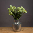 Shades 4 Seasons Green Tulip Single Stem Spring Flowers GREEN PLASTIC Shades 4 Seasons