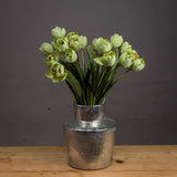 Shades 4 Seasons Green Tulip Single Stem Spring Flowers GREEN PLASTIC Shades 4 Seasons