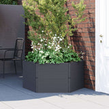 vidaXL Anthracite Garden Planters 2 pcs vidaXL