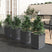 vidaXL Garden Planters 2 pcs Dark Grey 30x30x37 cm Polypropylene black 4 vidaXL