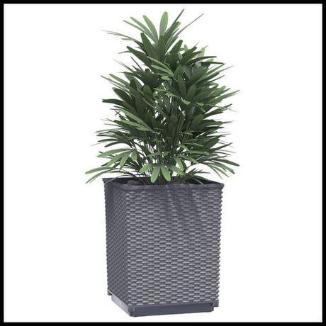 vidaXL Garden Planters 2 pcs Dark Grey 30x30x37 cm Polypropylene vidaXL