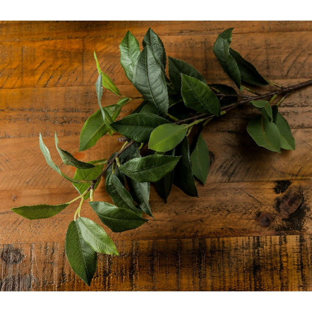 Shades 4 Seasons Laurel Leaf Spray - Artificial Single Stem Shades 4 Seasons
