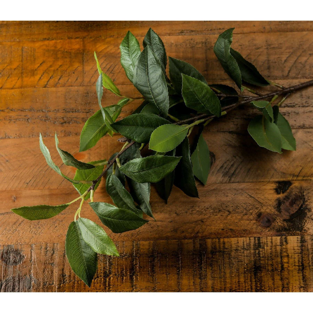 Shades 4 Seasons Laurel Leaf Spray - Artificial Single Stem Shades 4 Seasons