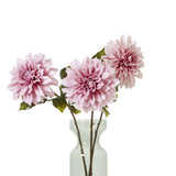The Natural Garden Collection Pink Dahlia Shades 4 Seasons