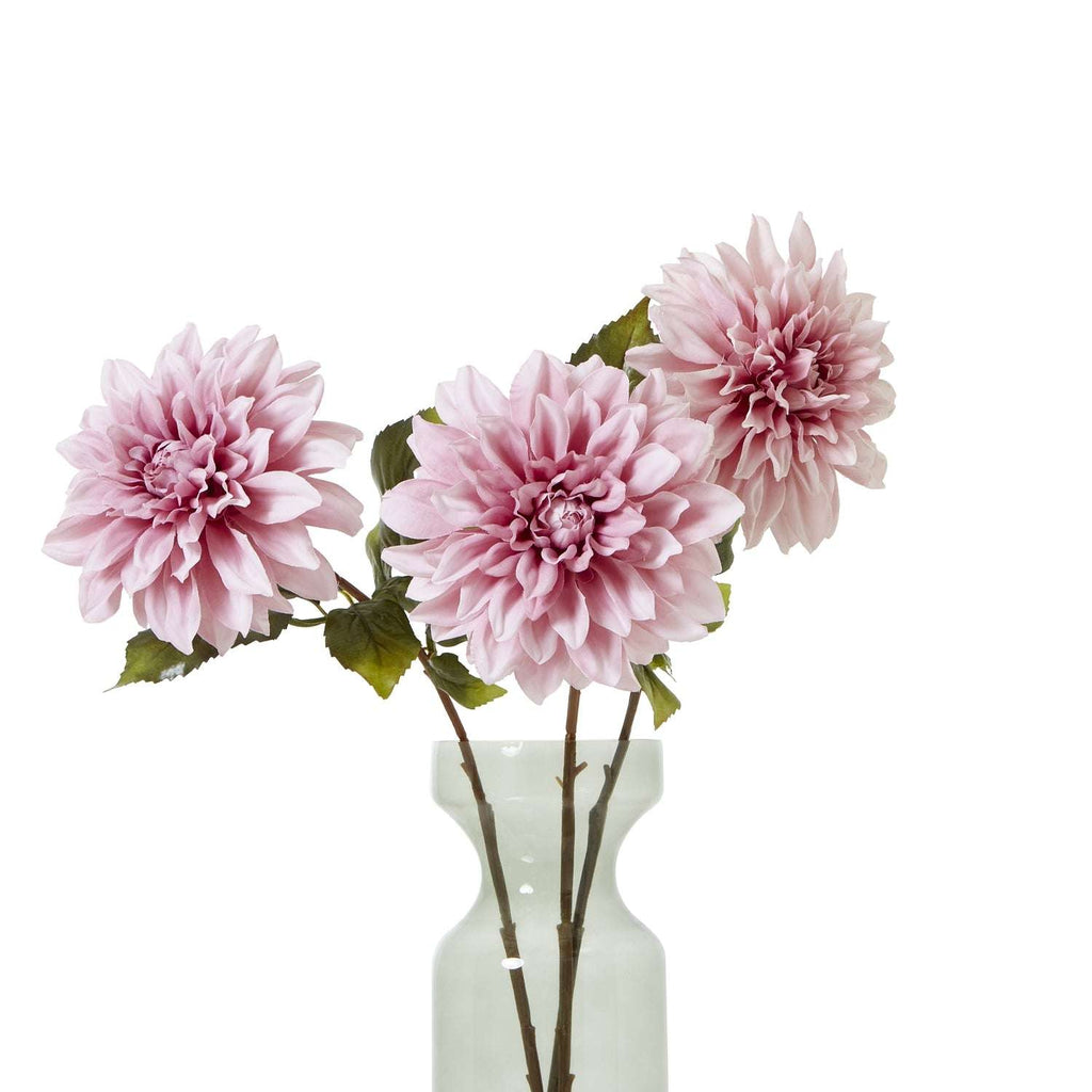 The Natural Garden Collection Pink Dahlia Shades 4 Seasons