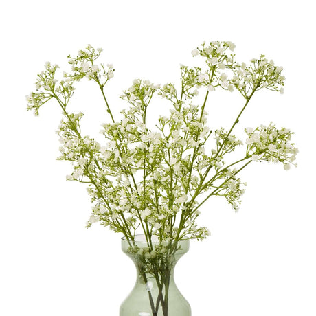 Shades 4 Seasons Gypsophila Spray - Elegant Home Decor Shades 4 Seasons