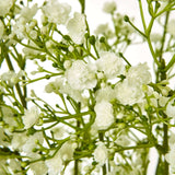 Shades 4 Seasons Gypsophila Spray - Elegant Home Decor Shades 4 Seasons