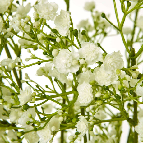 Shades 4 Seasons Gypsophila Spray - Elegant Home Decor Shades 4 Seasons