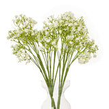 Shades 4 Seasons Gypsophila Stem for Stylish Decor Shades 4 Seasons