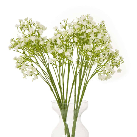 Shades 4 Seasons Gypsophila Stem for Stylish Decor Shades 4 Seasons