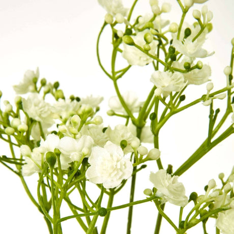 Shades 4 Seasons Gypsophila Stem for Stylish Decor Shades 4 Seasons