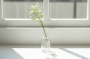 Shades 4 Seasons Gypsophila Stem for Stylish Decor CREAM PLASTIC Shades 4 Seasons
