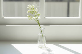 Shades 4 Seasons Gypsophila Stem for Stylish Decor CREAM PLASTIC Shades 4 Seasons