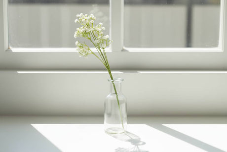 Shades 4 Seasons Gypsophila Stem for Stylish Decor CREAM PLASTIC Shades 4 Seasons