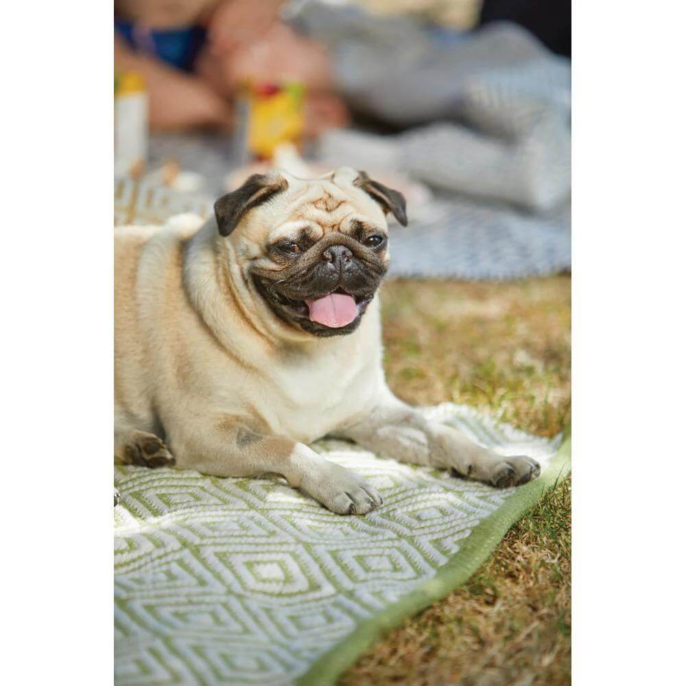 Hand-woven Rug in geometric pattern, perfect for outdoor gatherings and pet-friendly spaces