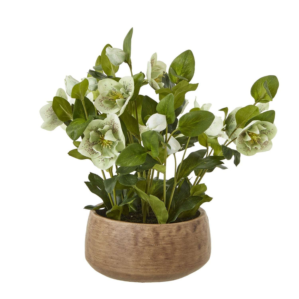 Hellebore Plant in Decorative Pot by Shades 4 Seasons GREEN PLASTIC Shades 4 Seasons