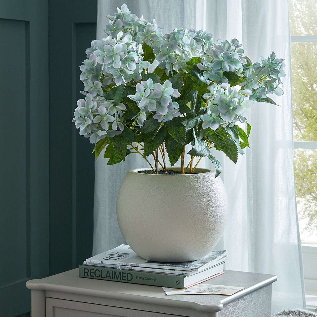 Hellebore Plant in Decorative Pot by Shades 4 Seasons Shades 4 Seasons