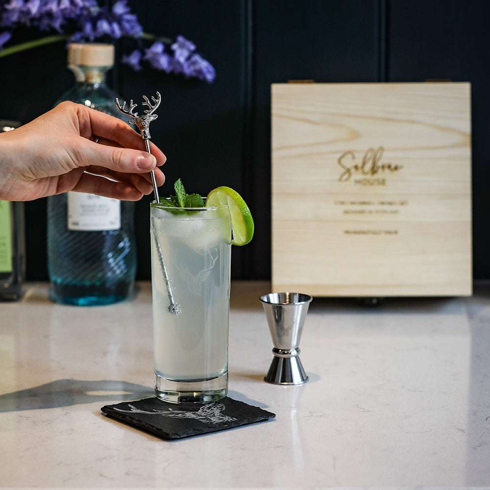 Selbrae House Highball Drinks Set with cocktail ingredients and mixing tools on a stylish countertop
