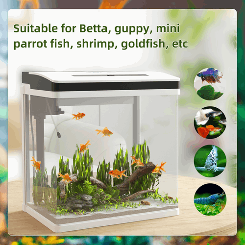 PawHut Aquarium 28L Glass Fish Tank With Filter, LED Lighting, Water Pump PawHut
