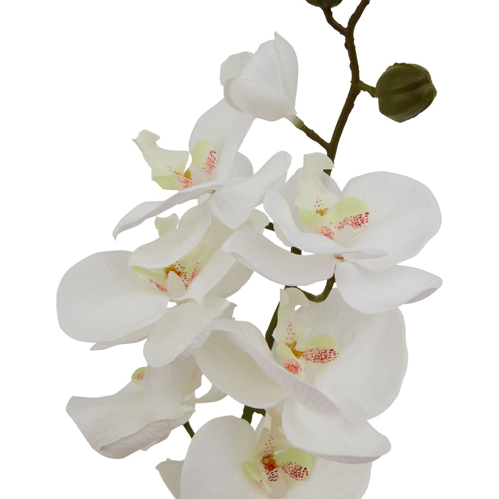 Shades 4 Seasons Lifelike Single Butterfly Orchid Stem Shades 4 Seasons